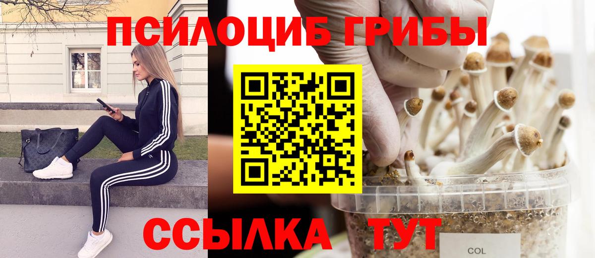 купить  сайты  Вход с VPN  Ейск  Галлюциногенные грибы Psilocybine cubensis 