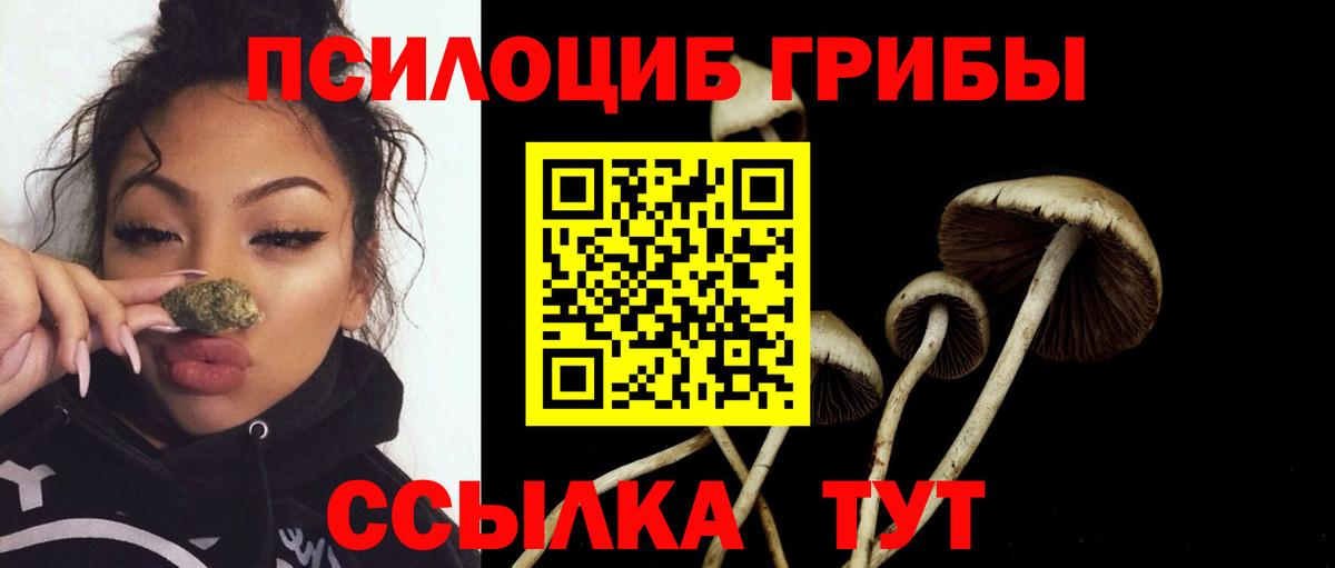 Галлюциногенные грибы прущие грибы Ейск